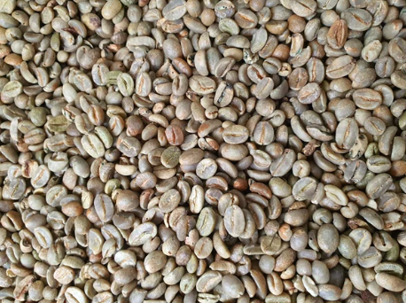 Robusta Green Bean